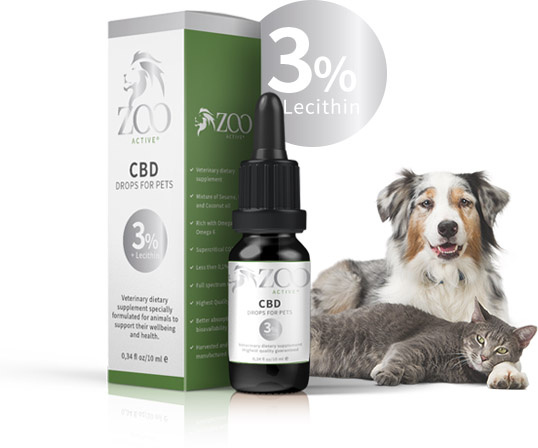 cbd